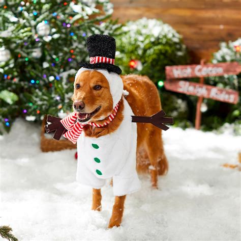 christmas dog outfits for large dogs